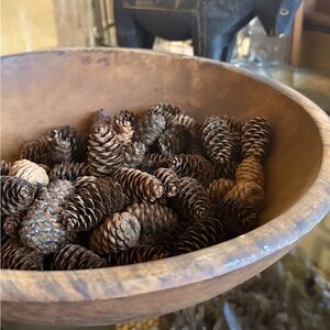 BOGO Mini pinecones from Oregon! Vase filler, home decor, crafting, etc